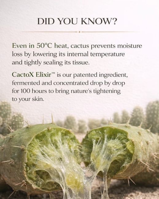 Cactox V-Lifting Mewing Band (4x Masks Per Pack)